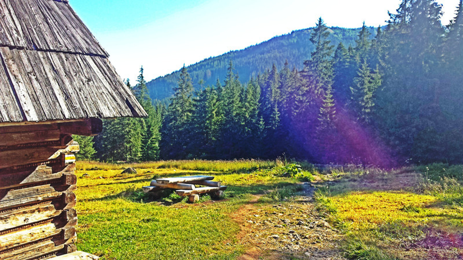 Testowy przedmiot rezerwacji Testowy przedmiot rezerwacji